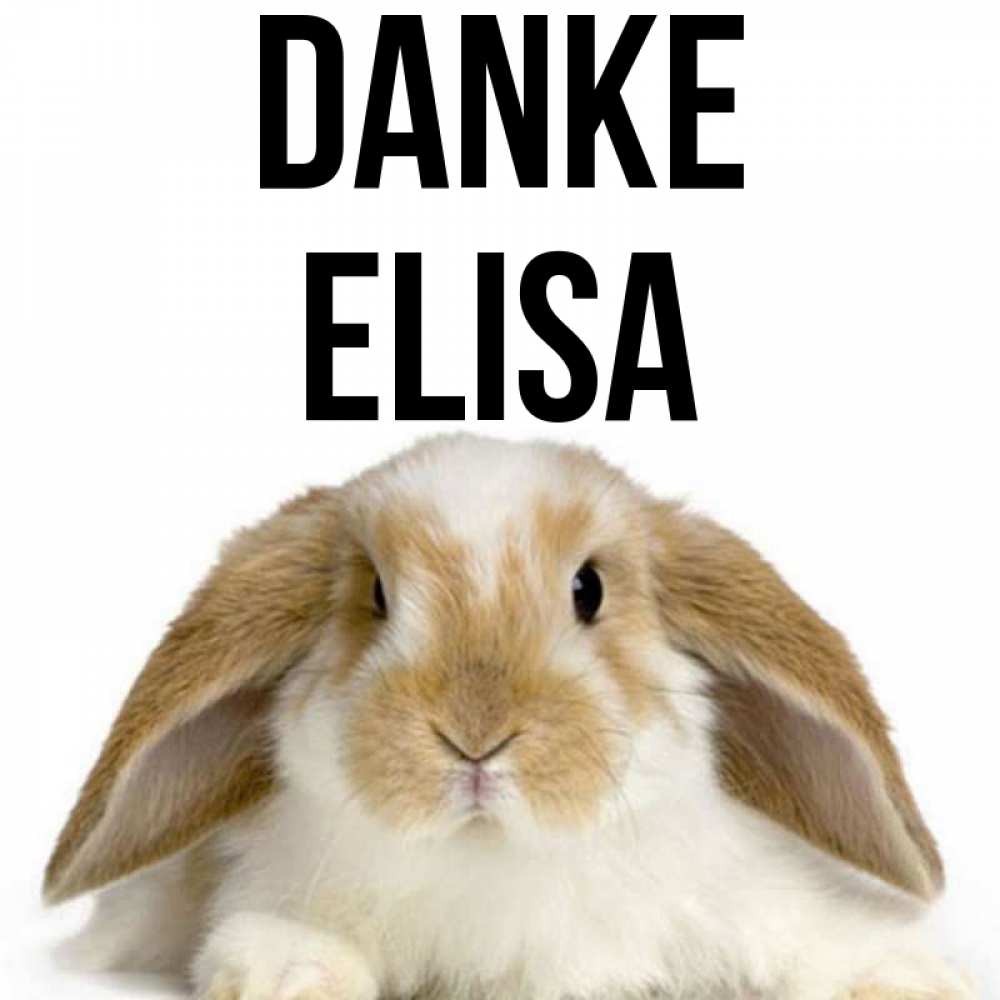 Открытка на каждый день с именем, Elisa Danke коричнево белый заяц Прикольная открытка с пожеланием онлайн скачать бесплатно 