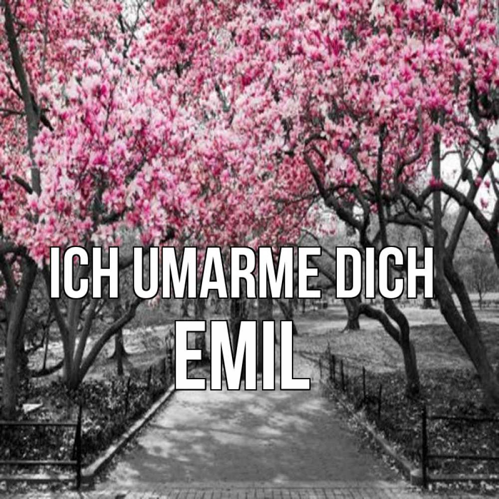 Открытка на каждый день с именем, Emil Ich umarme dich обработанное фото Прикольная открытка с пожеланием онлайн скачать бесплатно 