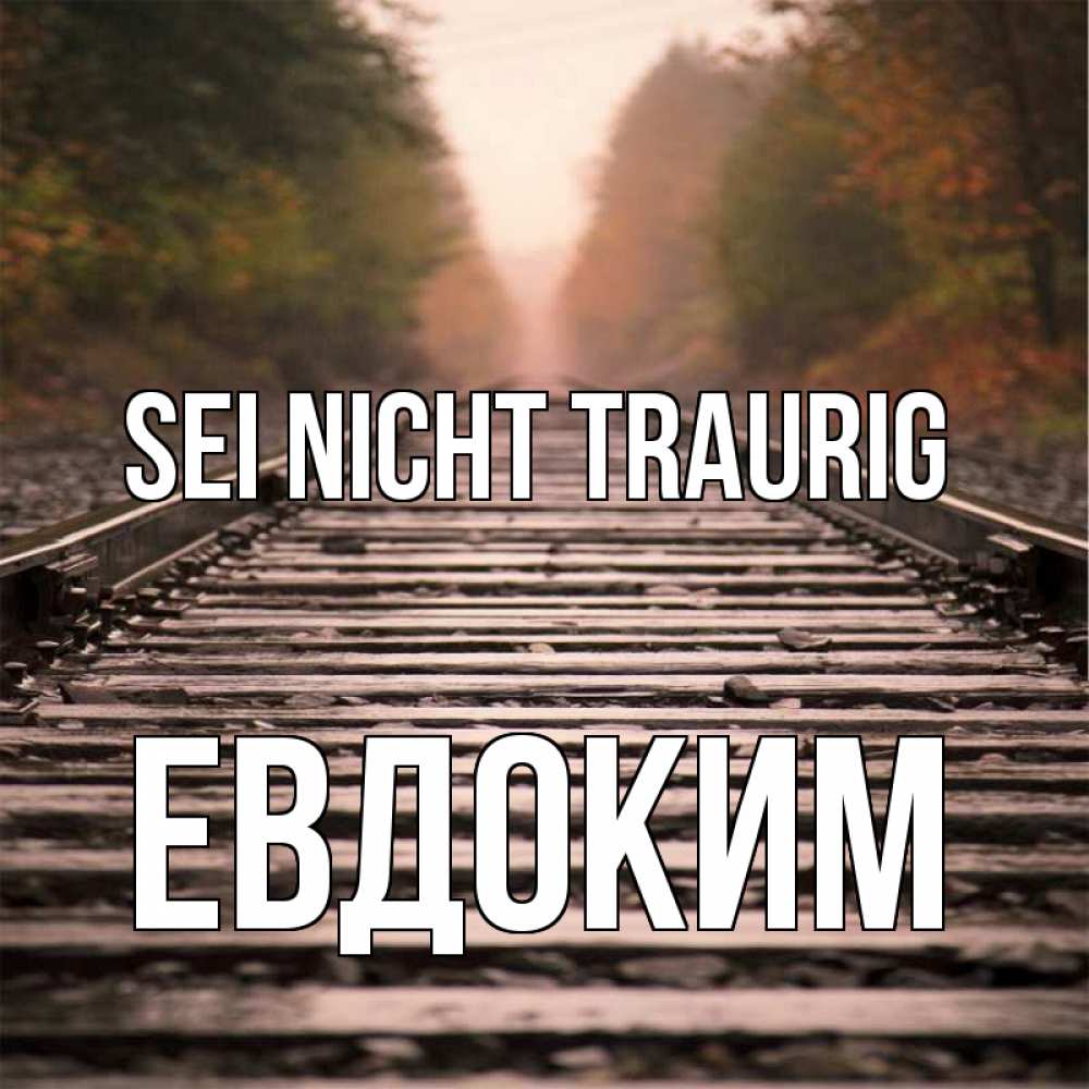 Открытка на каждый день с именем, Евдоким Sei nicht traurig лес и железная дорога Прикольная открытка с пожеланием онлайн скачать бесплатно 