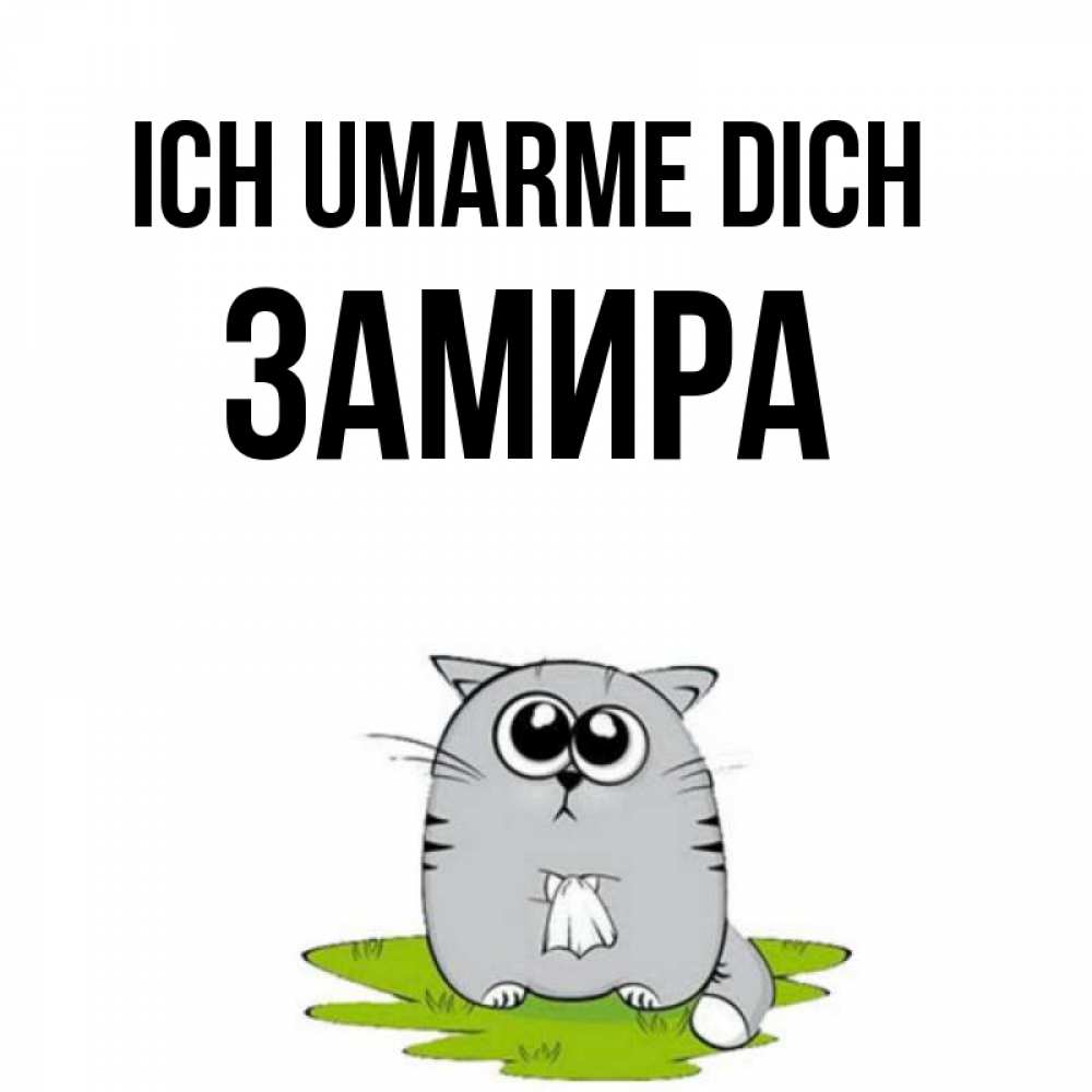 Открытка на каждый день с именем, Замира Ich umarme dich котик теребит платочек сидя на травке Прикольная открытка с пожеланием онлайн скачать бесплатно 