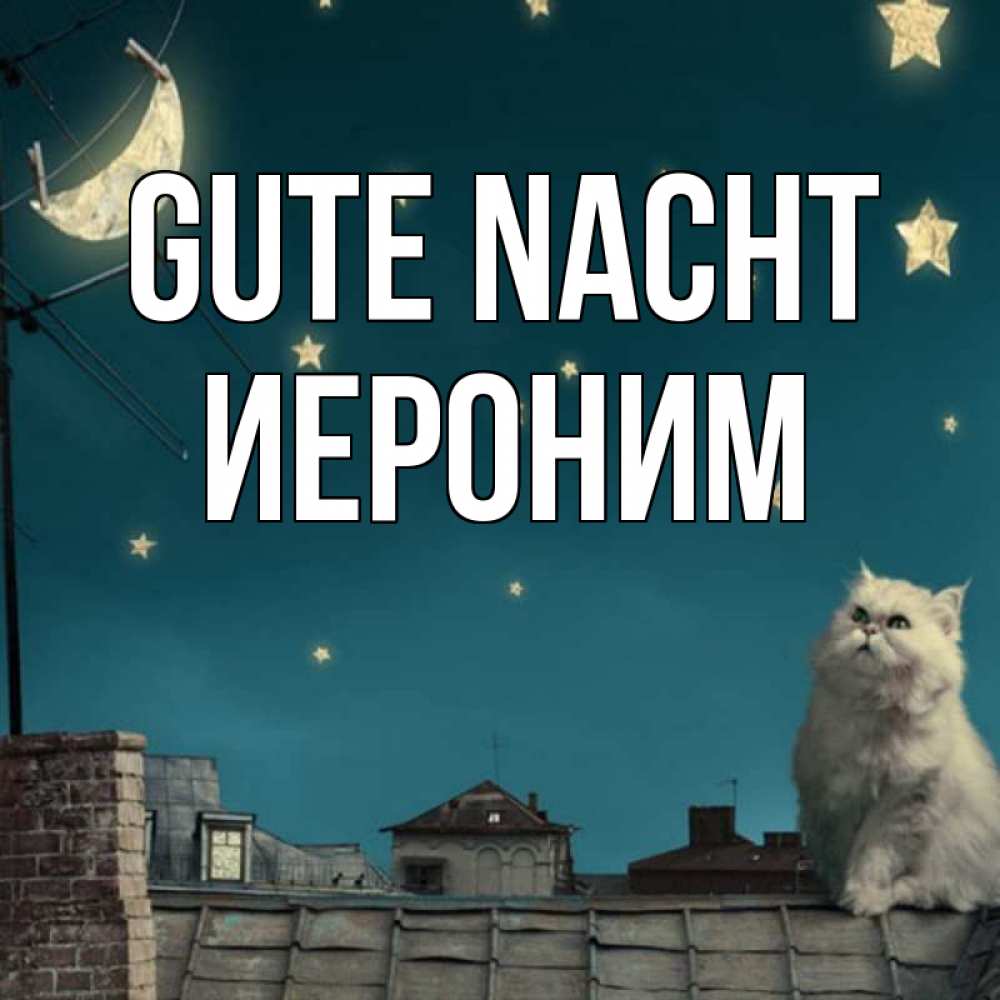 Открытка на каждый день с именем, Иероним Gute Nacht белый кот сидит на крыше Прикольная открытка с пожеланием онлайн скачать бесплатно 
