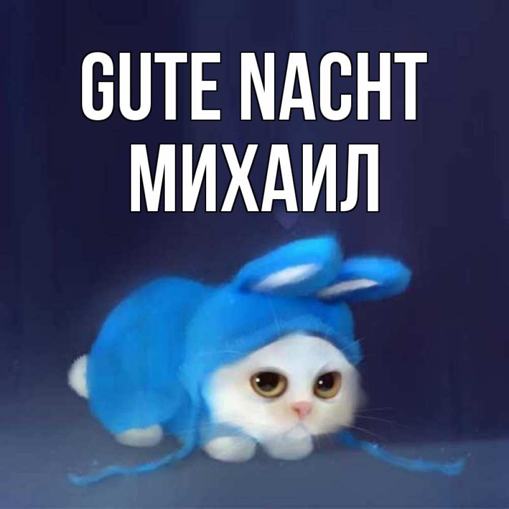 Открытка на каждый день с именем, Михаил Gute Nacht кот в голубом костюме кролика с ушками Прикольная открытка с пожеланием онлайн скачать бесплатно 