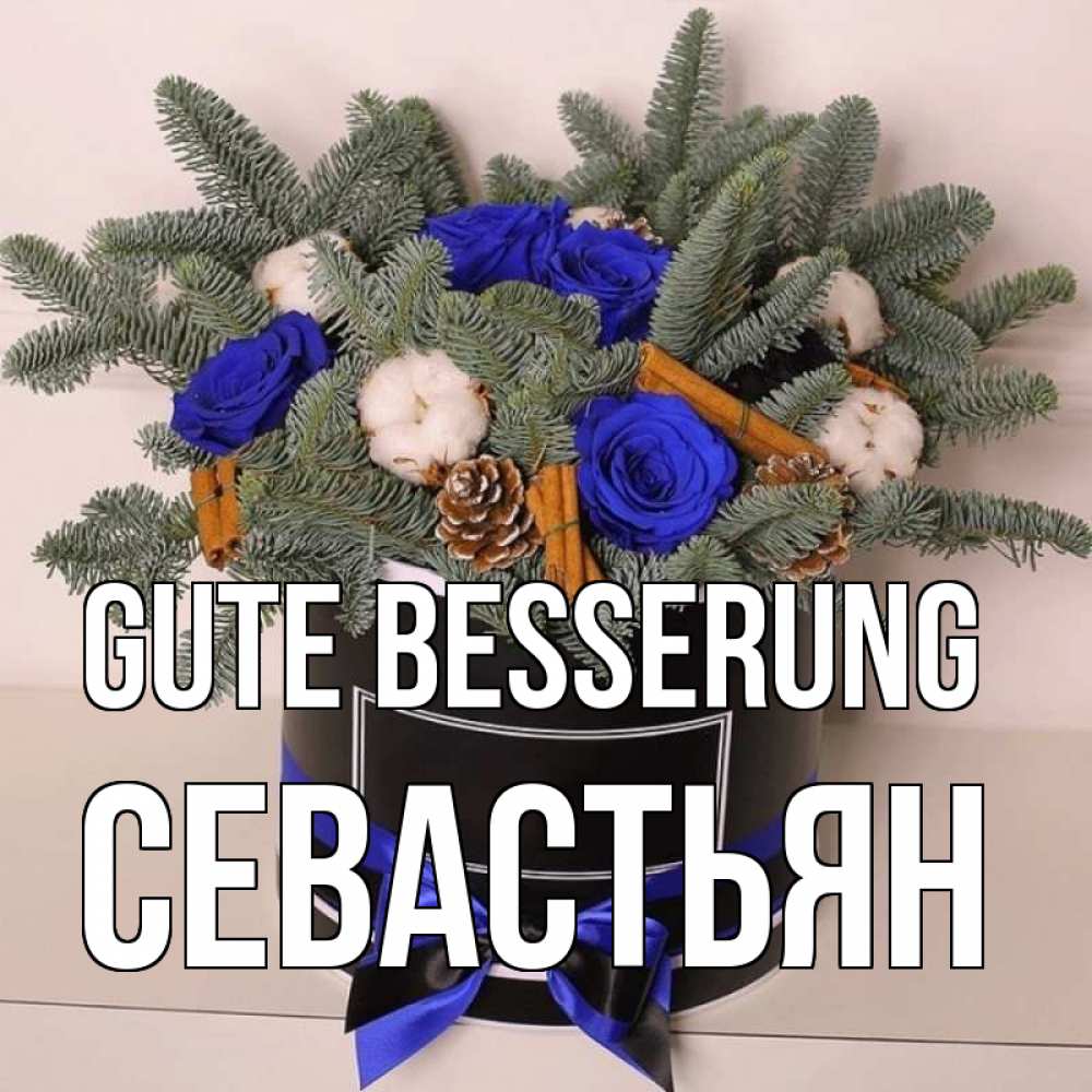Открытка на каждый день с именем, Севастьян Gute Besserung короче кто то загрузил эти шишки Прикольная открытка с пожеланием онлайн скачать бесплатно 