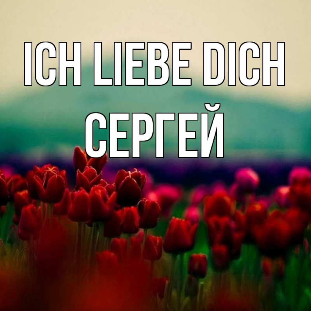 Открытка на каждый день с именем, Сергей Ich liebe dich тюльпаны 4 Прикольная открытка с пожеланием онлайн скачать бесплатно 