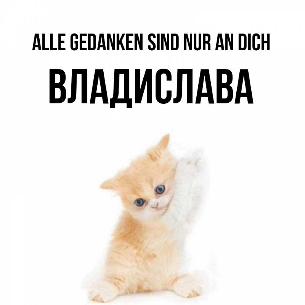 Открытка на каждый день с именем, Владислава Alle Gedanken sind nur an dich зверушки и милота Прикольная открытка с пожеланием онлайн скачать бесплатно 