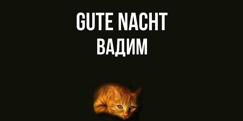 Открытка на каждый день с именем, Вадим Gute Nacht кот Прикольная открытка с пожеланием онлайн скачать бесплатно 