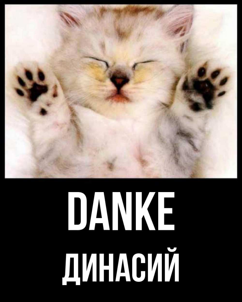 Открытка на каждый день с именем, Динасий Danke маленький котенок Прикольная открытка с пожеланием онлайн скачать бесплатно 