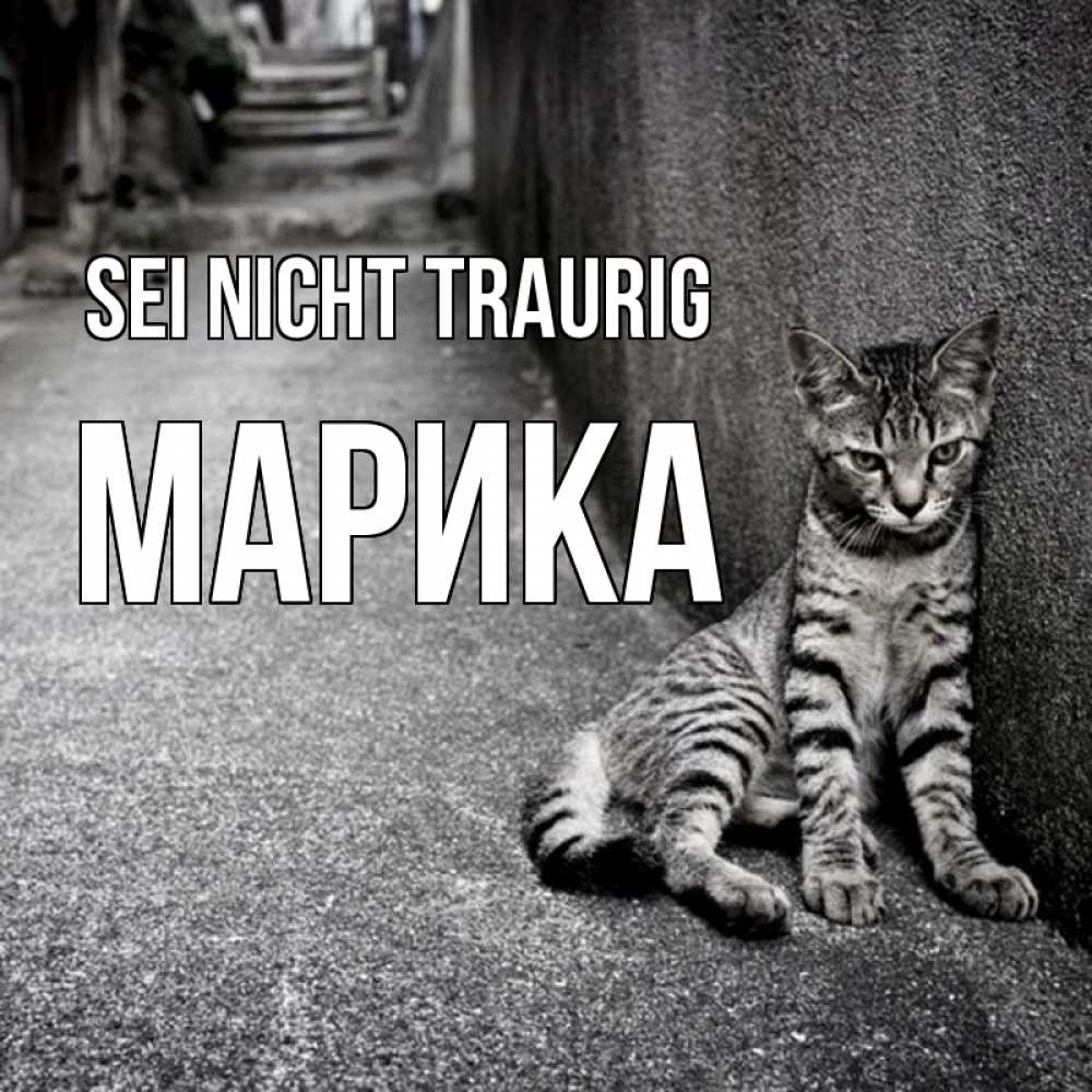 Открытка на каждый день с именем, Марика Sei nicht traurig скучающий котик Прикольная открытка с пожеланием онлайн скачать бесплатно 
