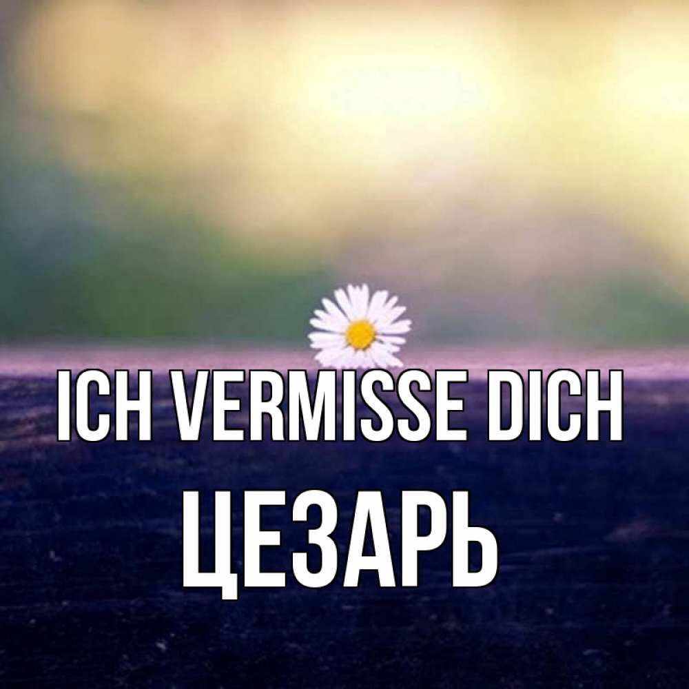Открытка на каждый день с именем, Цезарь Ich vermisse dich приходи в гости Прикольная открытка с пожеланием онлайн скачать бесплатно 
