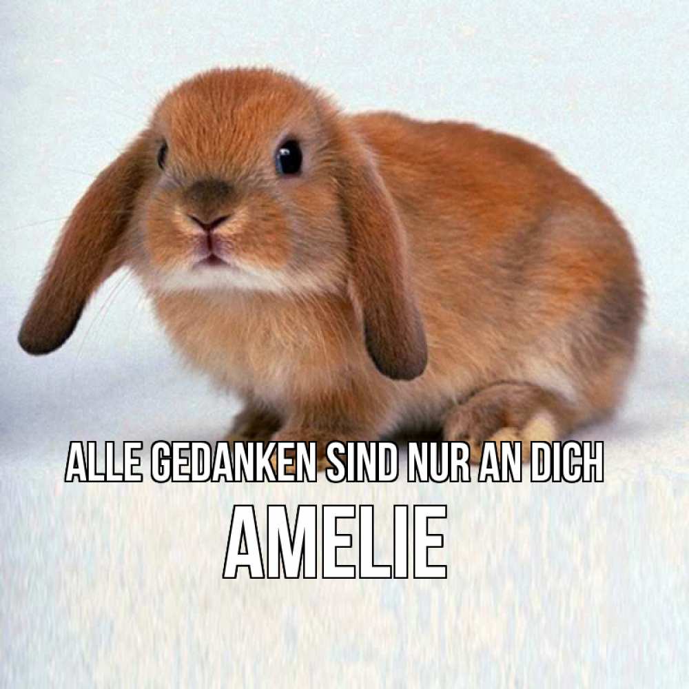 Открытка на каждый день с именем, Amelie Alle Gedanken sind nur an dich кроль коричневый Прикольная открытка с пожеланием онлайн скачать бесплатно 