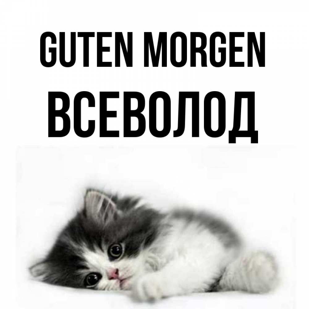 Открытка на каждый день с именем, Всеволод Guten Morgen кот лапки Прикольная открытка с пожеланием онлайн скачать бесплатно 