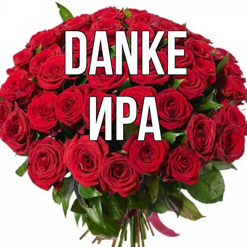 Открытка на каждый день с именем, Ира Danke букет красных роз Прикольная открытка с пожеланием онлайн скачать бесплатно 