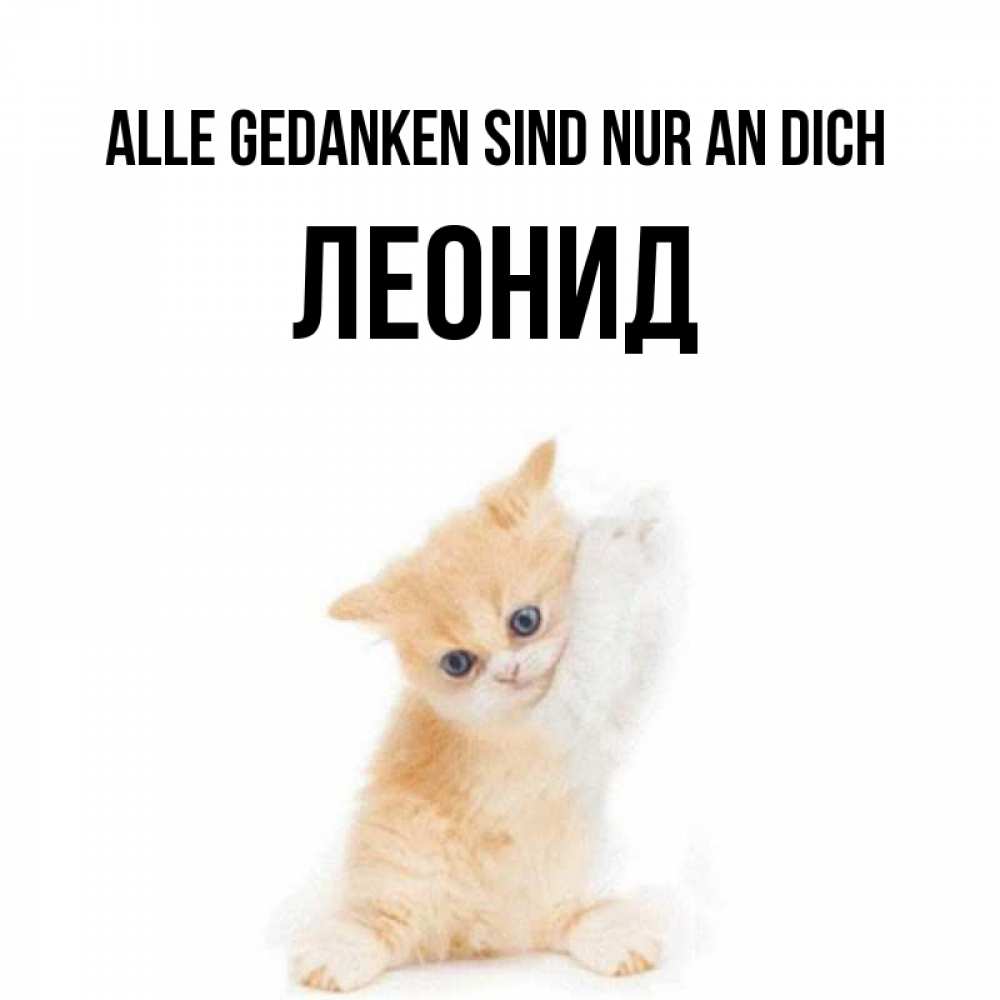 Открытка на каждый день с именем, Леонид Alle Gedanken sind nur an dich зверушки и милота Прикольная открытка с пожеланием онлайн скачать бесплатно 