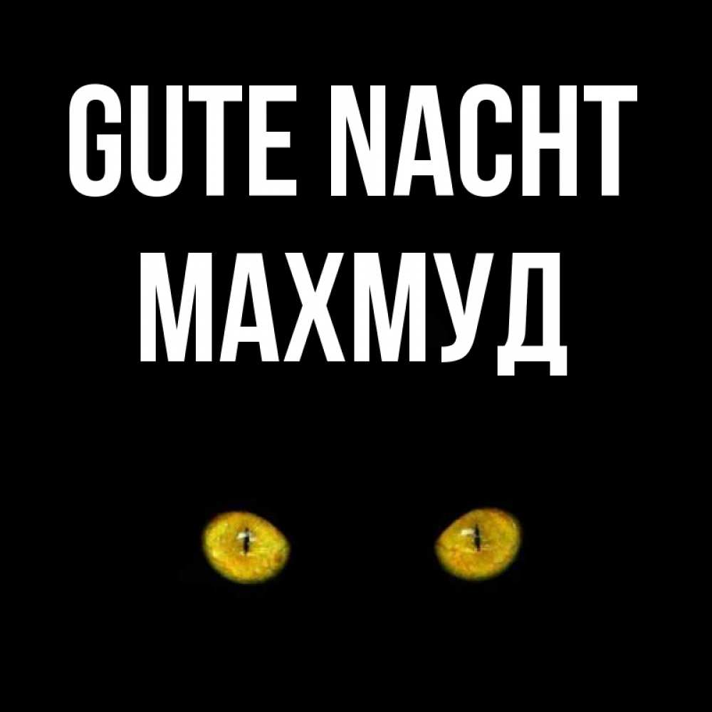 Открытка на каждый день с именем, Махмуд Gute Nacht сладких снов бесстрашный мой дружочек Прикольная открытка с пожеланием онлайн скачать бесплатно 