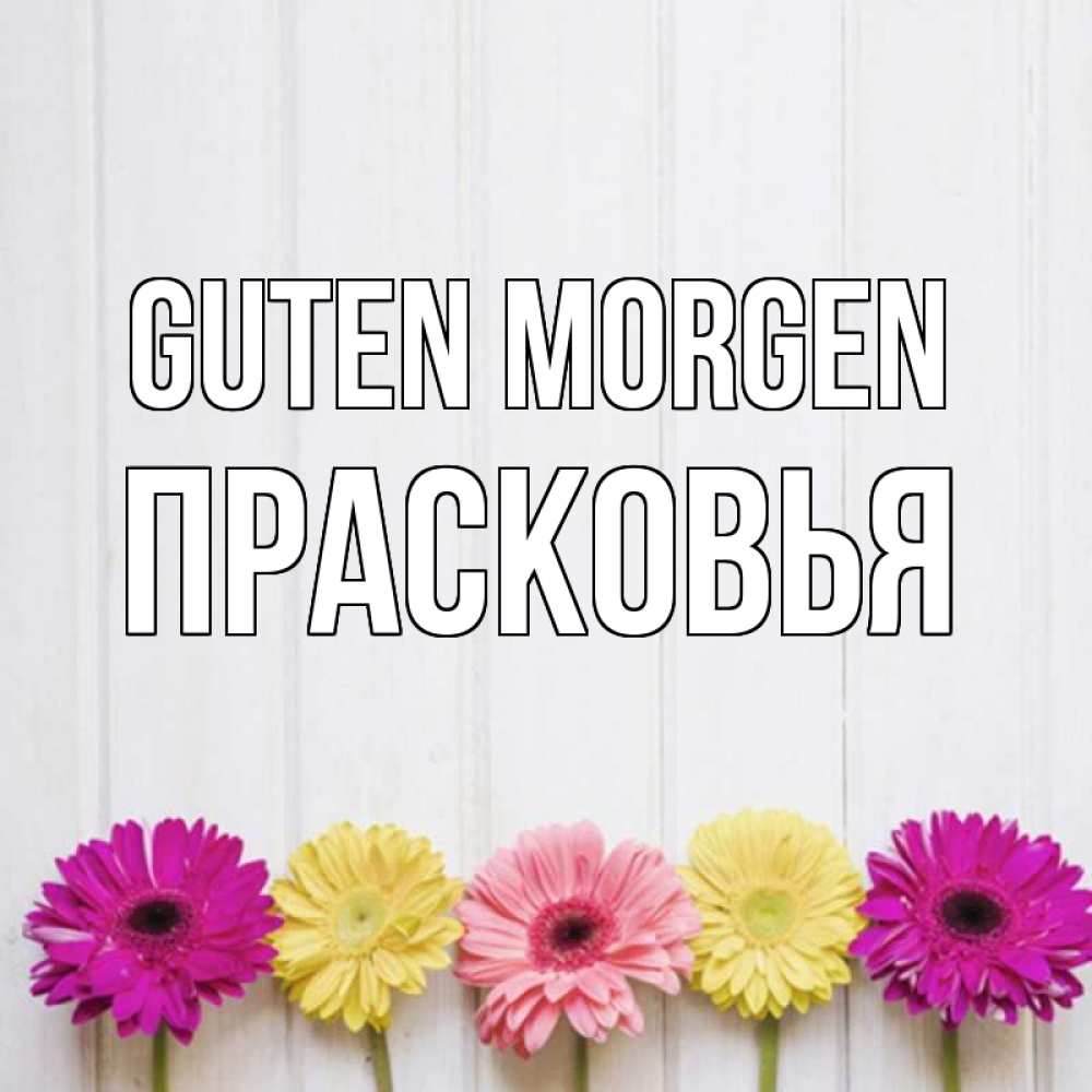Открытка на каждый день с именем, Прасковья Guten Morgen красный желтый и розовый цветок Прикольная открытка с пожеланием онлайн скачать бесплатно 