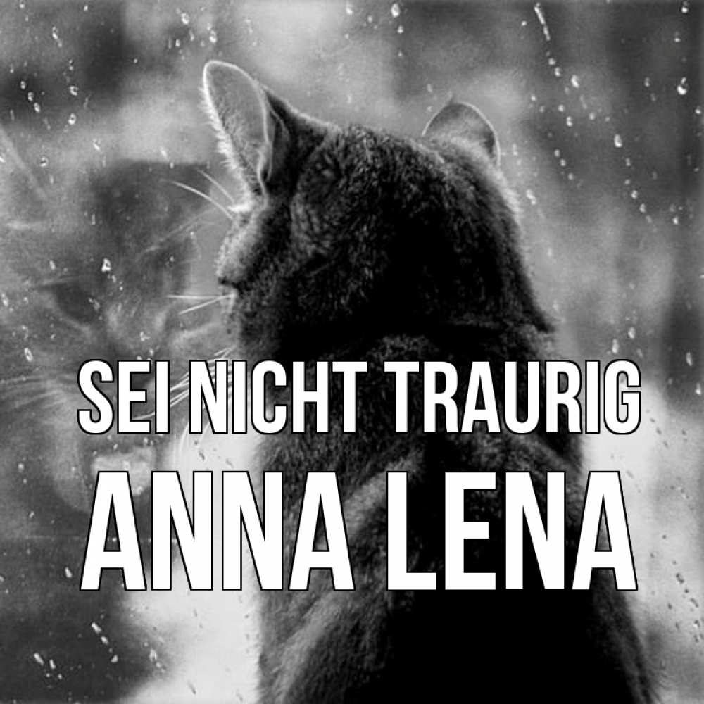 Открытка на каждый день с именем, Anna-Lena Sei nicht traurig отражение кота 1 Прикольная открытка с пожеланием онлайн скачать бесплатно 