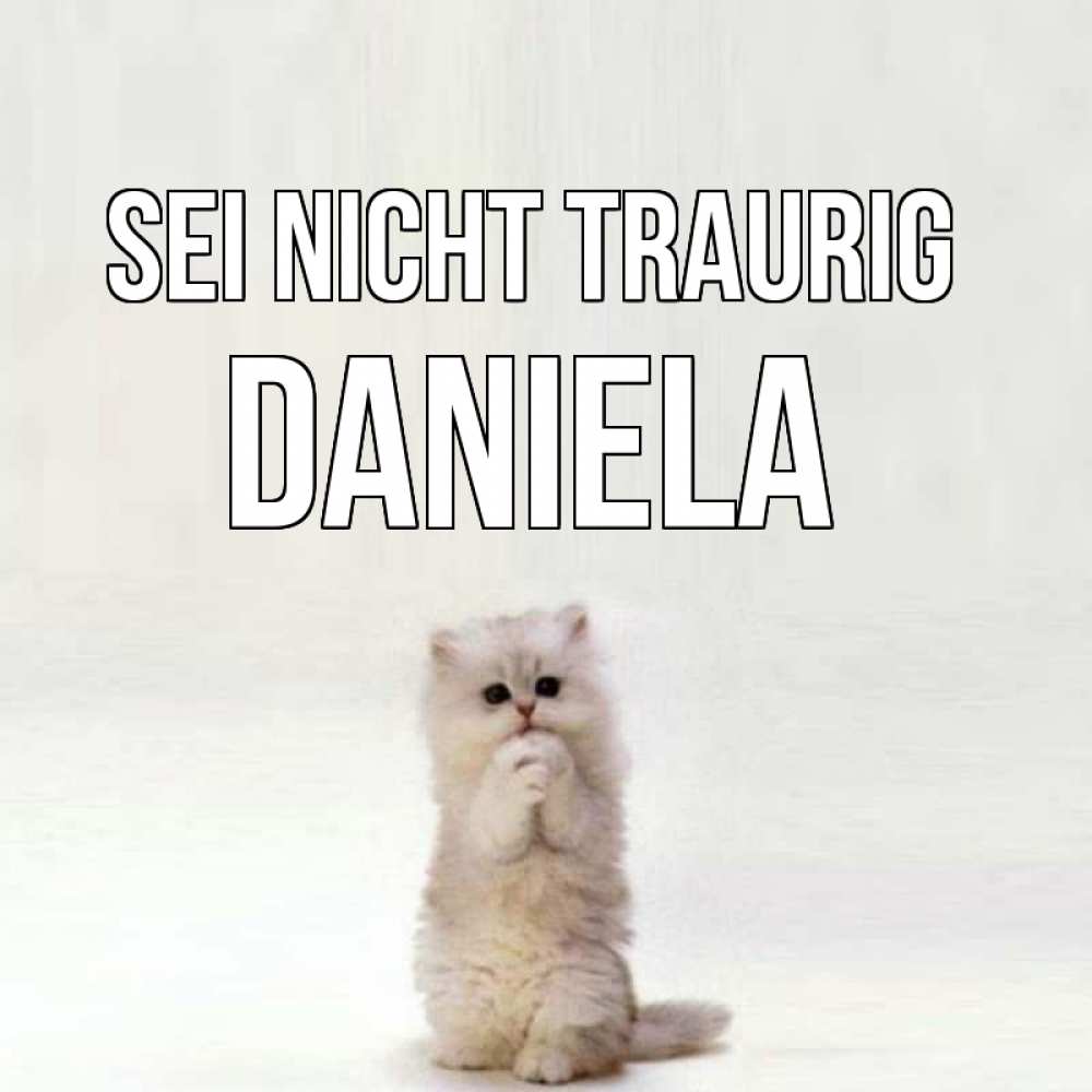 Открытка на каждый день с именем, Daniela Sei nicht traurig грустный кот Прикольная открытка с пожеланием онлайн скачать бесплатно 