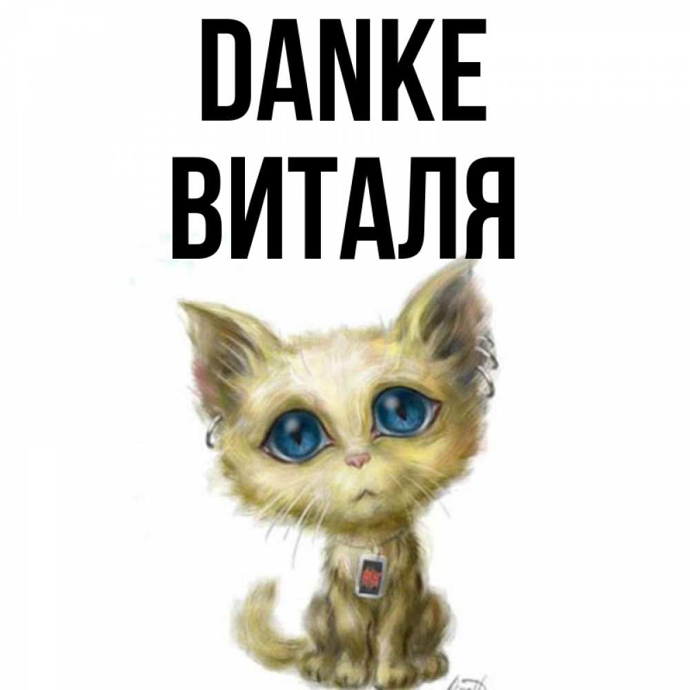 Открытка на каждый день с именем, Виталя Danke рисованный кот благодарит вас Прикольная открытка с пожеланием онлайн скачать бесплатно 