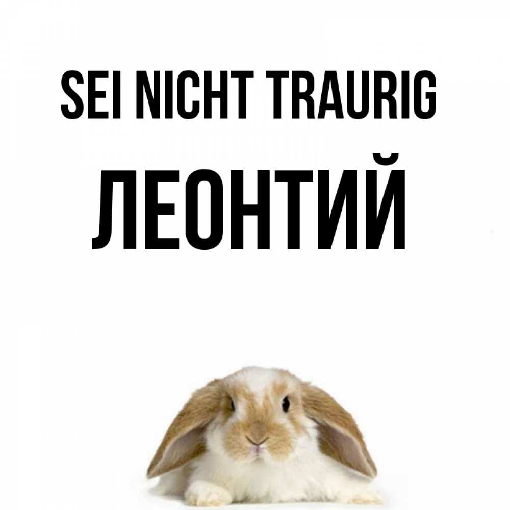 Открытка на каждый день с именем, Леонтий Sei nicht traurig коричнево белый заяц с большими ушками Прикольная открытка с пожеланием онлайн скачать бесплатно 