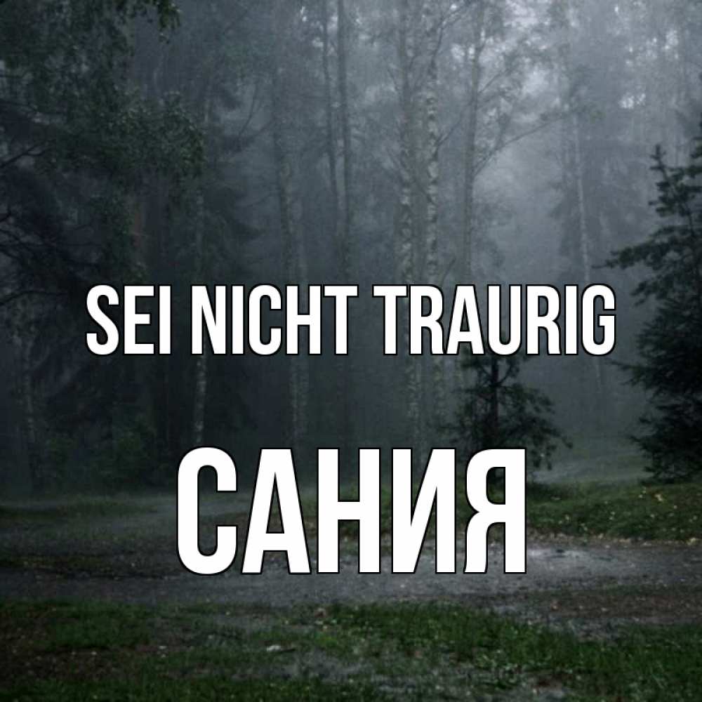 Открытка на каждый день с именем, Сания Sei nicht traurig осень Прикольная открытка с пожеланием онлайн скачать бесплатно 