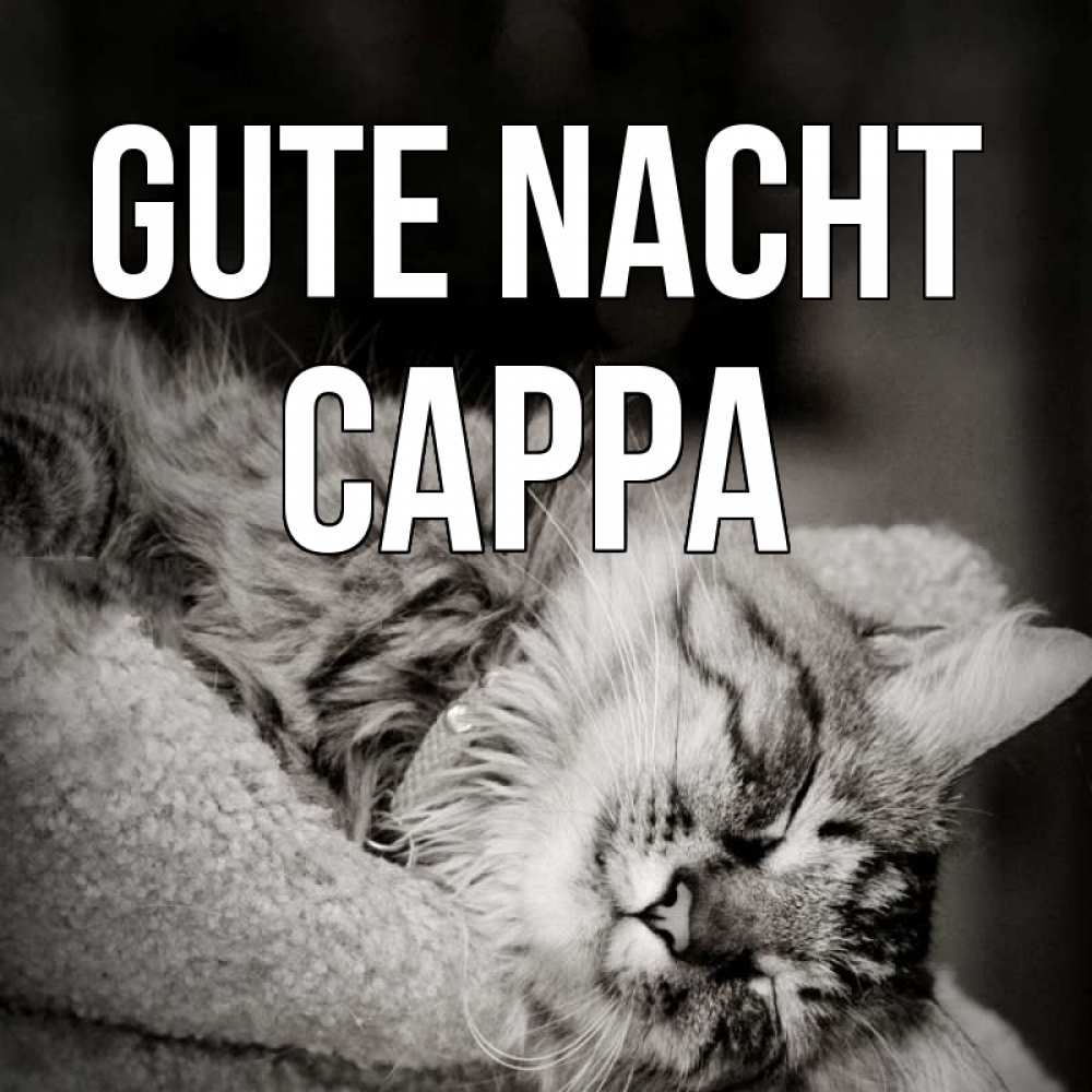 Открытка на каждый день с именем, Сарра Gute Nacht котярик пушистый Прикольная открытка с пожеланием онлайн скачать бесплатно 