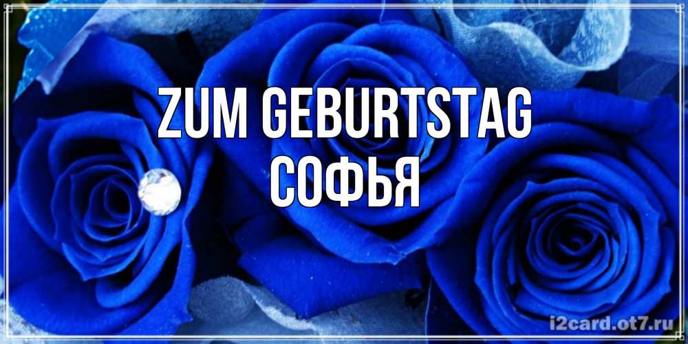 Открытка на каждый день с именем, Софья Zum Geburtstag синие розы в росе Прикольная открытка с пожеланием онлайн скачать бесплатно 