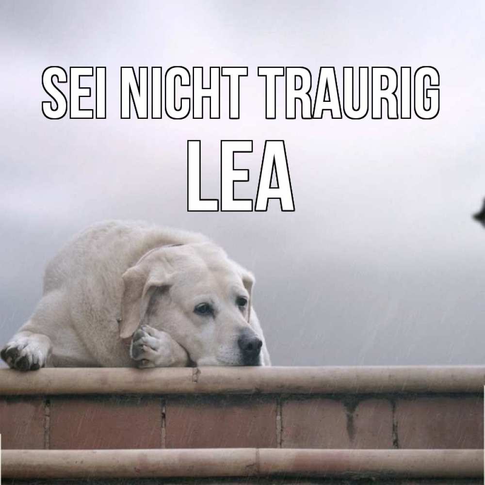 Открытка на каждый день с именем, Lea Sei nicht traurig белый пес 1 Прикольная открытка с пожеланием онлайн скачать бесплатно 
