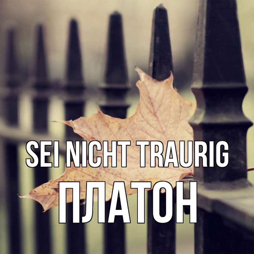 Открытка на каждый день с именем, Платон Sei nicht traurig лист клена Прикольная открытка с пожеланием онлайн скачать бесплатно 