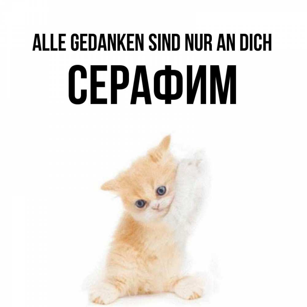 Открытка на каждый день с именем, Серафим Alle Gedanken sind nur an dich зверушки и милота Прикольная открытка с пожеланием онлайн скачать бесплатно 