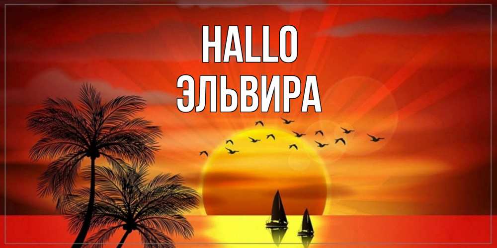 Открытка на каждый день с именем, Эльвира Hallo привет Прикольная открытка с пожеланием онлайн скачать бесплатно 