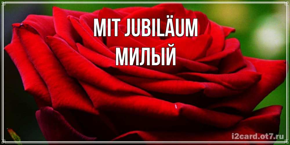 Открытка на каждый день с именем, Милый Mit Jubiläum розочка очень красивая Прикольная открытка с пожеланием онлайн скачать бесплатно 