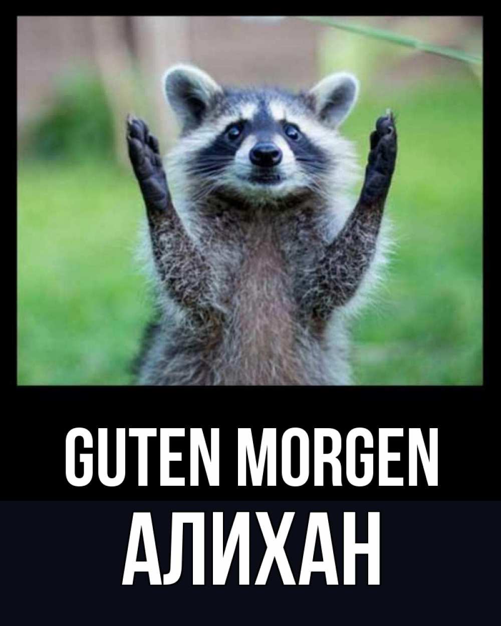 Открытка на каждый день с именем, Алихан Guten Morgen хорошее настроение утречком Прикольная открытка с пожеланием онлайн скачать бесплатно 