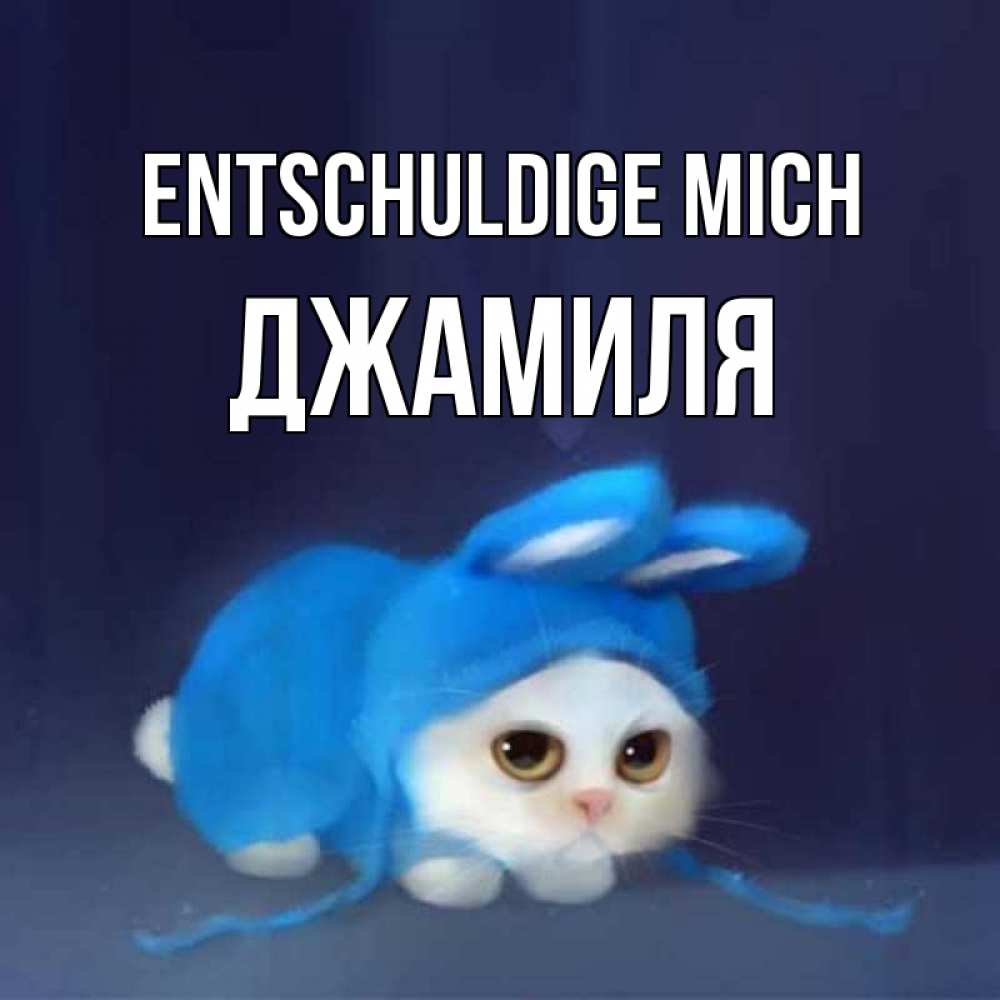 Открытка на каждый день с именем, Джамиля Entschuldige mich невинный котозай просит прощения Прикольная открытка с пожеланием онлайн скачать бесплатно 