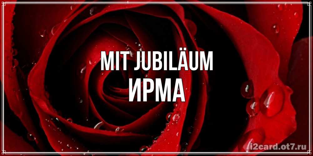 Открытка на каждый день с именем, Ирма Mit Jubiläum крупная бордовая роза Прикольная открытка с пожеланием онлайн скачать бесплатно 