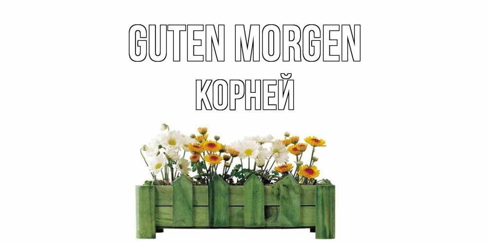 Открытка на каждый день с именем, Корней Guten Morgen цветы Прикольная открытка с пожеланием онлайн скачать бесплатно 