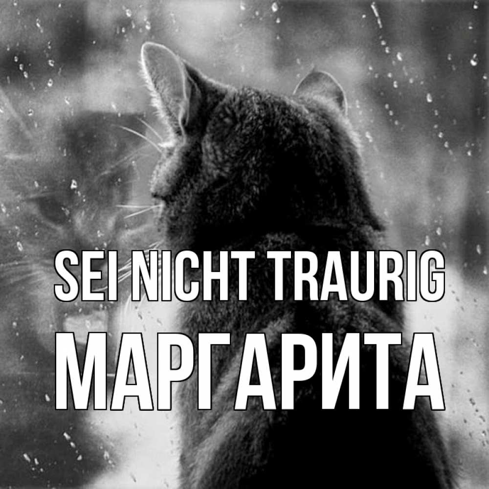 Открытка на каждый день с именем, Маргарита Sei nicht traurig отражение кота 1 Прикольная открытка с пожеланием онлайн скачать бесплатно 