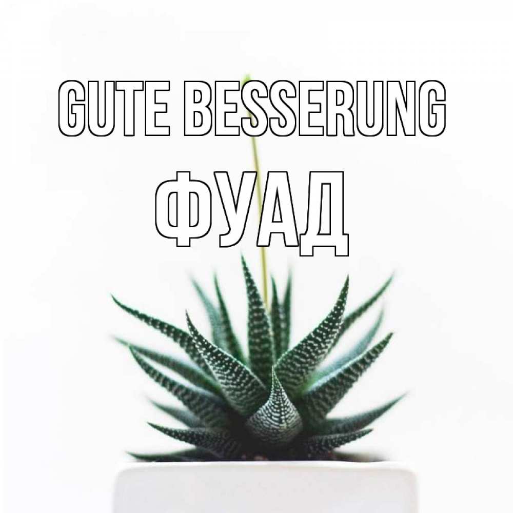Открытка на каждый день с именем, Фуад Gute Besserung короче это непонятная колючка Прикольная открытка с пожеланием онлайн скачать бесплатно 