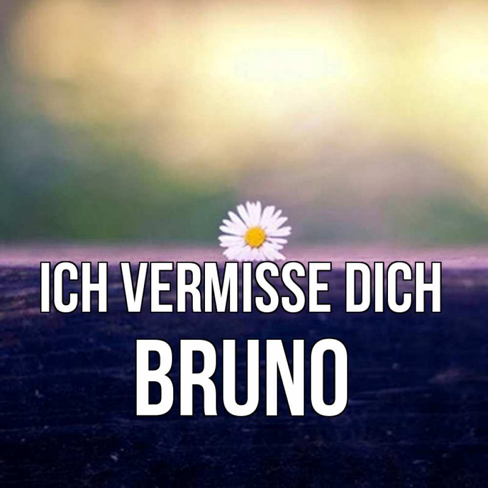 Открытка на каждый день с именем, Bruno Ich vermisse dich приходи в гости Прикольная открытка с пожеланием онлайн скачать бесплатно 