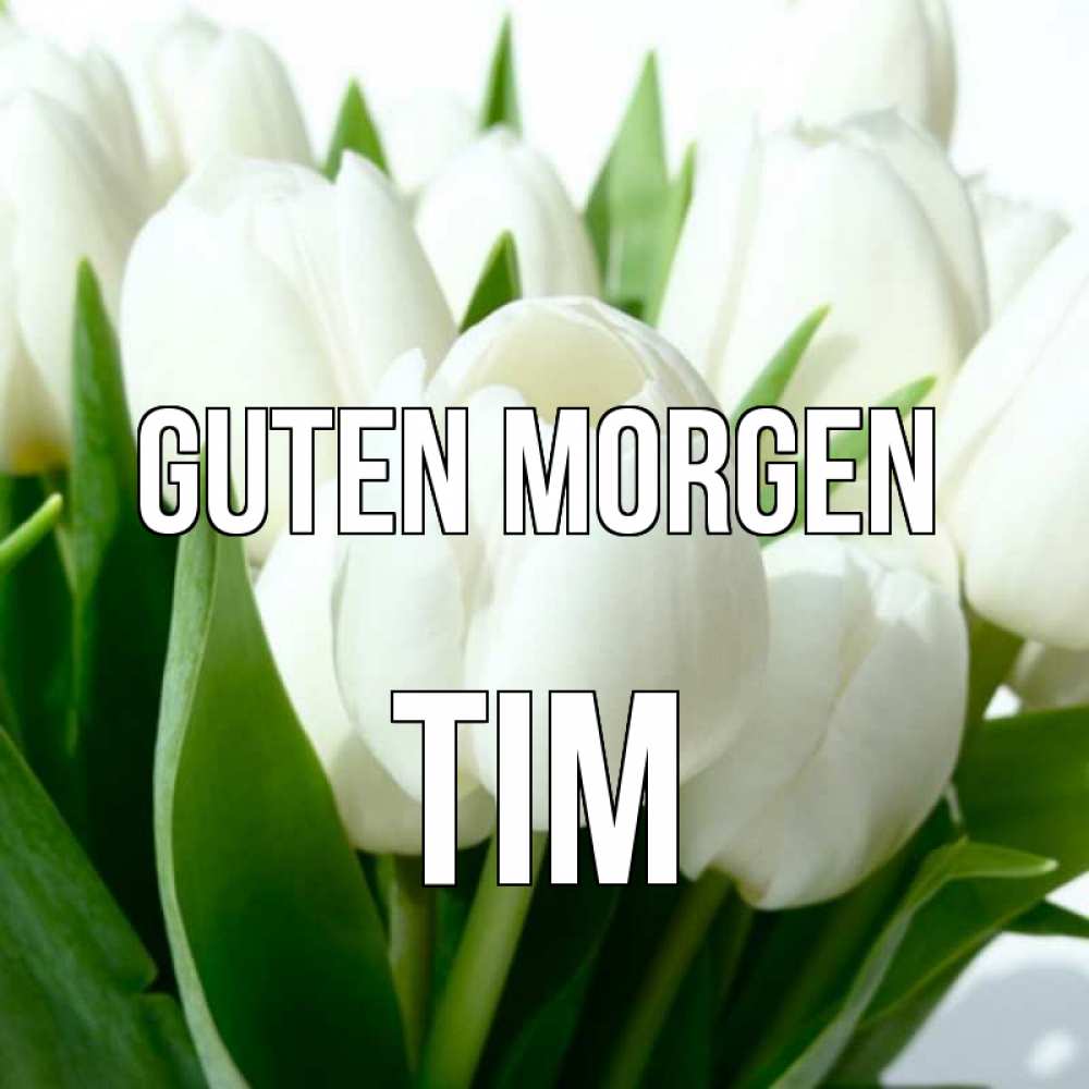 Открытка на каждый день с именем, Tim Guten Morgen открытки на каждый день по именам Прикольная открытка с пожеланием онлайн скачать бесплатно 