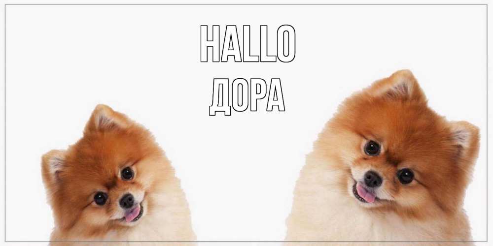 Открытка на каждый день с именем, Дора Hallo привет Прикольная открытка с пожеланием онлайн скачать бесплатно 