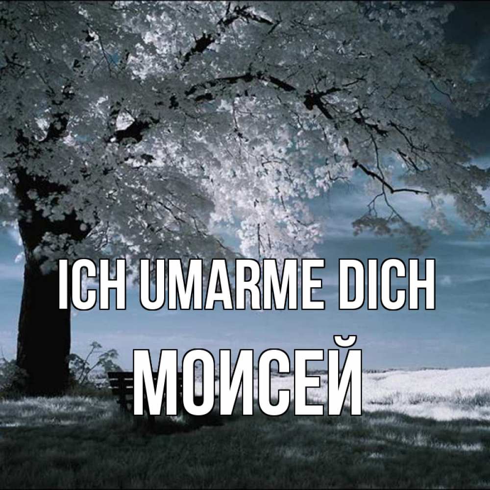 Открытка на каждый день с именем, Моисей Ich umarme dich дерево Прикольная открытка с пожеланием онлайн скачать бесплатно 