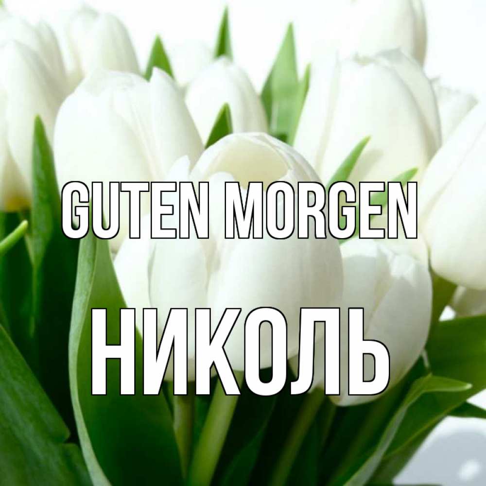 Открытка на каждый день с именем, Николь Guten Morgen открытки на каждый день по именам Прикольная открытка с пожеланием онлайн скачать бесплатно 