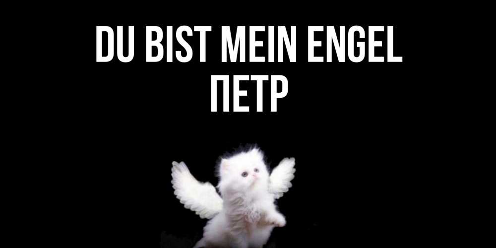 Открытка на каждый день с именем, Петр Du bist mein Engel Кот ангел Прикольная открытка с пожеланием онлайн скачать бесплатно 
