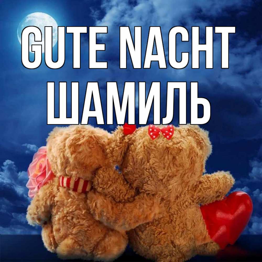 Открытка на каждый день с именем, Шамиль Gute Nacht плюшевые Прикольная открытка с пожеланием онлайн скачать бесплатно 