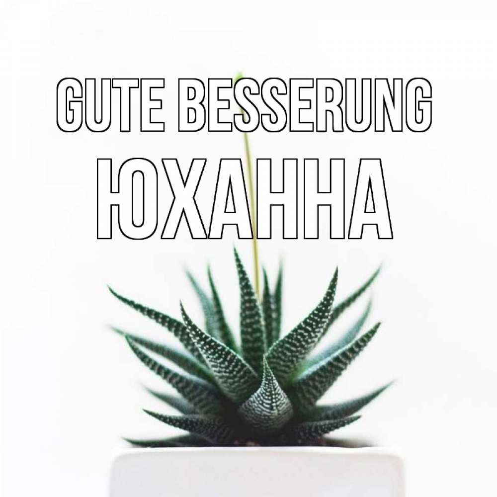 Открытка на каждый день с именем, Юханна Gute Besserung короче это непонятная колючка Прикольная открытка с пожеланием онлайн скачать бесплатно 