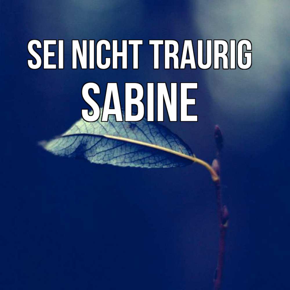 Открытка на каждый день с именем, Sabine Sei nicht traurig растение Прикольная открытка с пожеланием онлайн скачать бесплатно 
