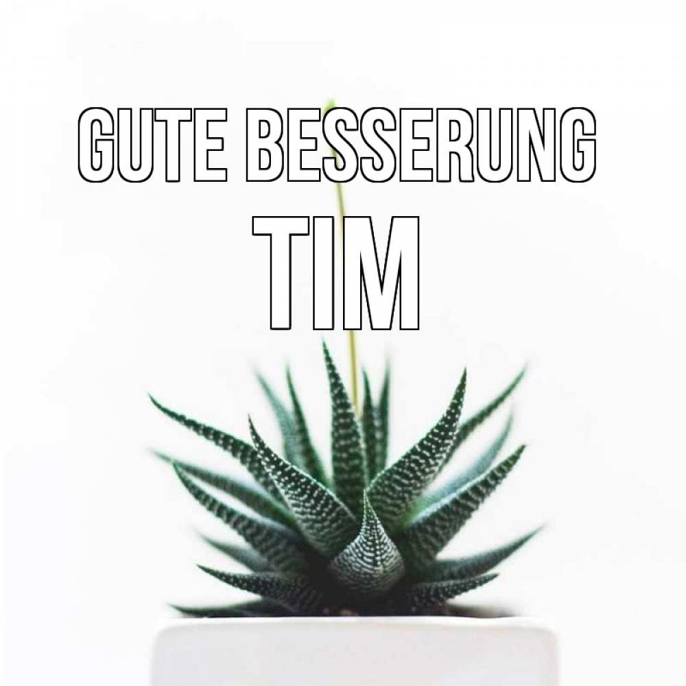 Открытка на каждый день с именем, Tim Gute Besserung короче это непонятная колючка Прикольная открытка с пожеланием онлайн скачать бесплатно 