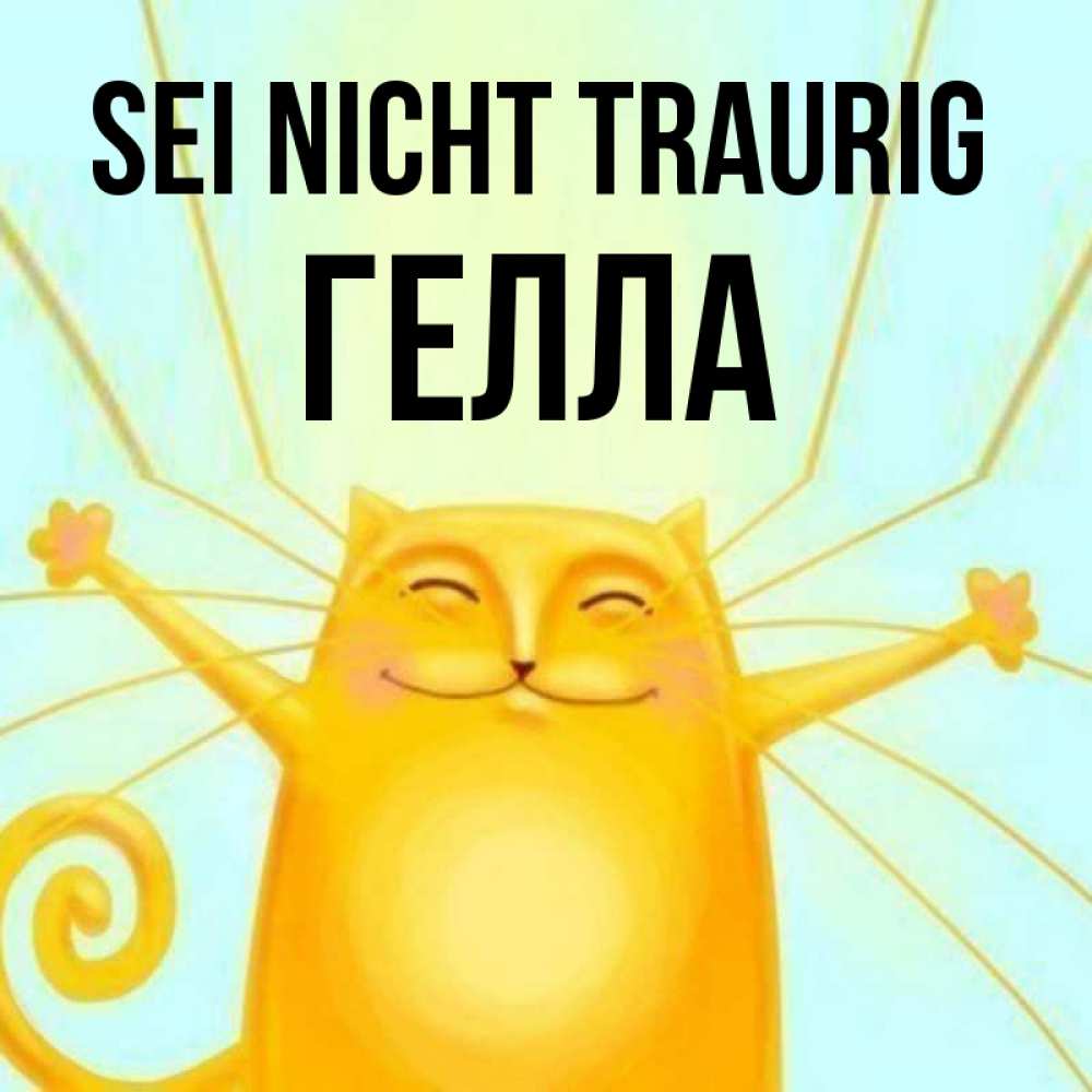 Открытка на каждый день с именем, Гелла Sei nicht traurig обнимашки усатые Прикольная открытка с пожеланием онлайн скачать бесплатно 