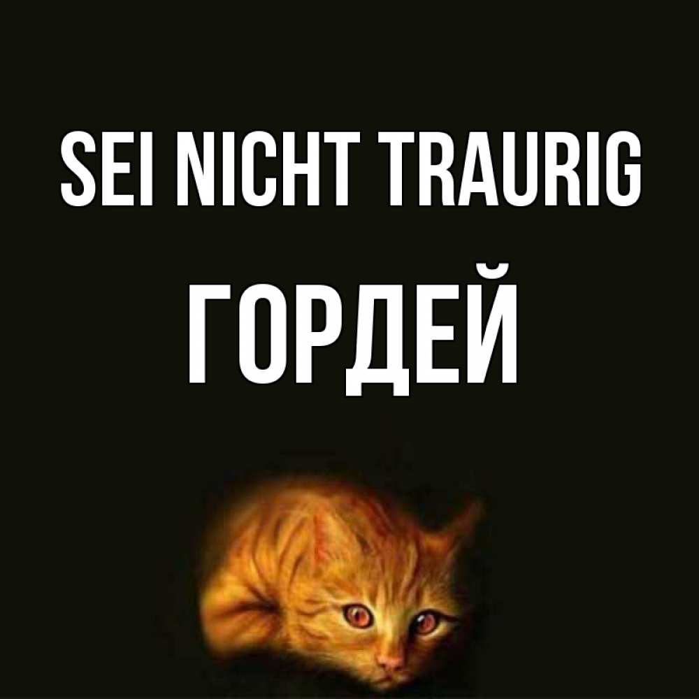Открытка на каждый день с именем, Гордей Sei nicht traurig лежащий кот в темноте Прикольная открытка с пожеланием онлайн скачать бесплатно 