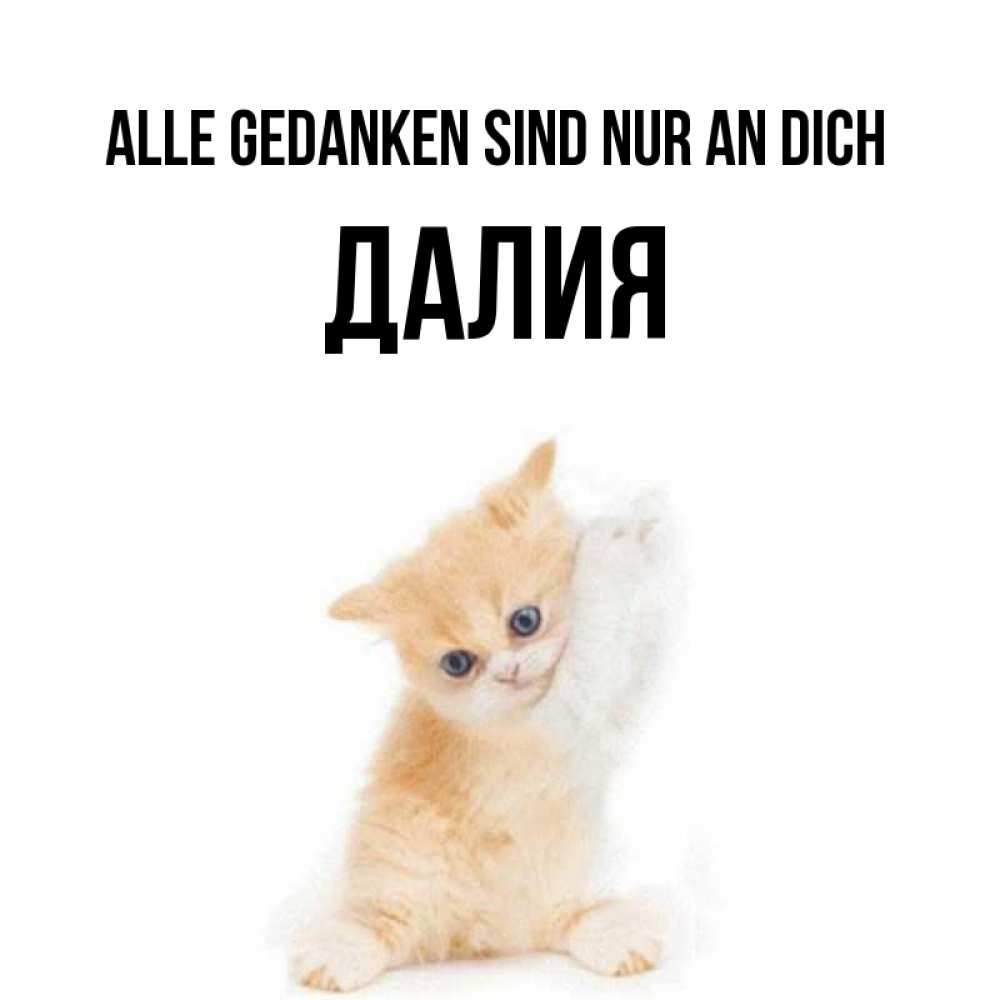 Открытка на каждый день с именем, Далия Alle Gedanken sind nur an dich зверушки и милота Прикольная открытка с пожеланием онлайн скачать бесплатно 